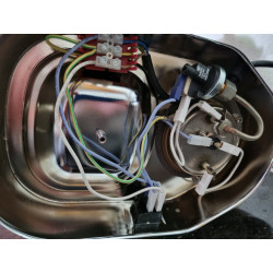 pimpmypavoni Bicolore