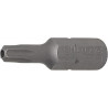 Torx Bit T20